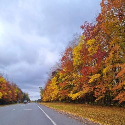 Photo #11077924