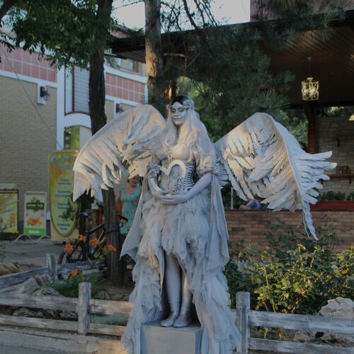 Photo #11077982