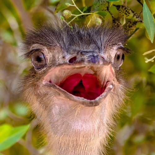 Фотография #11078052