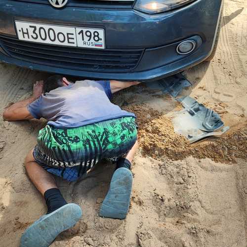 Photo #11078186