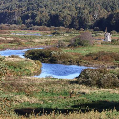 Photo #11078734