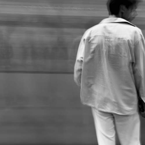 Photo #11078845