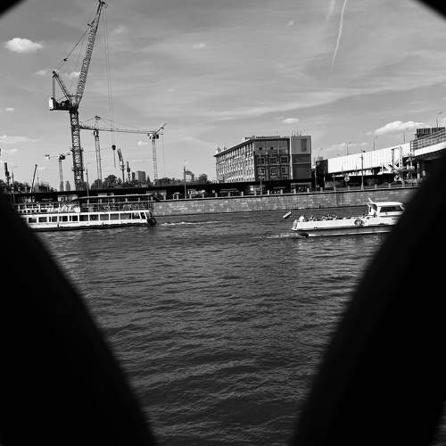 Photo #11078846