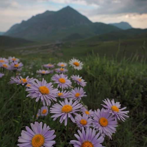 Photo #11078894
