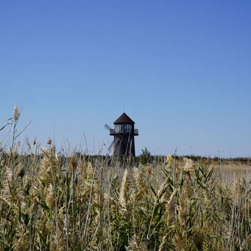 Photo #11079284