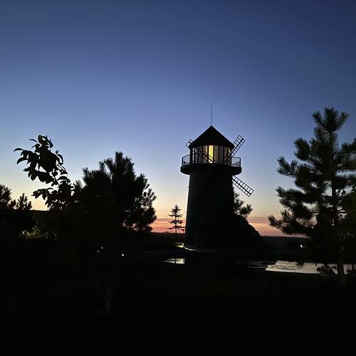 Photo #11079302