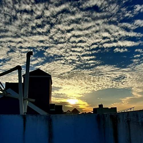 Photo #11079917