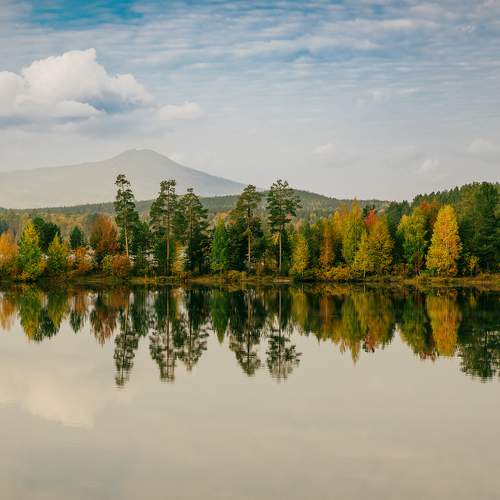 Photo #11080008