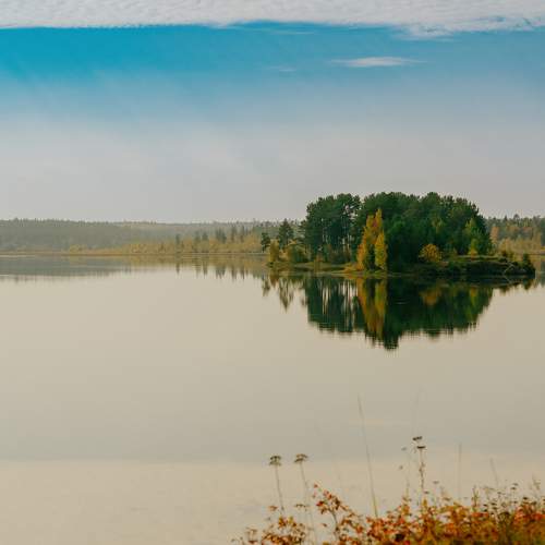 Photo #11080010