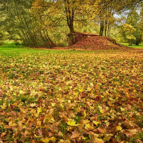 Photo #11080117