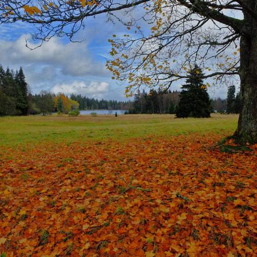 Photo #11080129