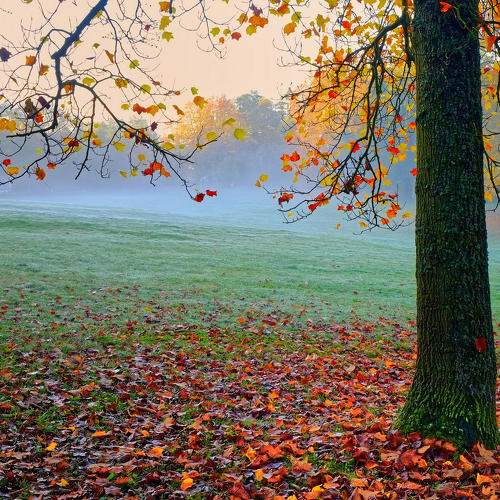Photo #11080146