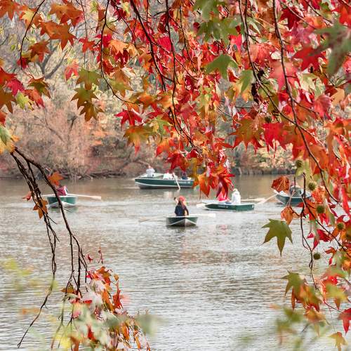 Photo #11080347