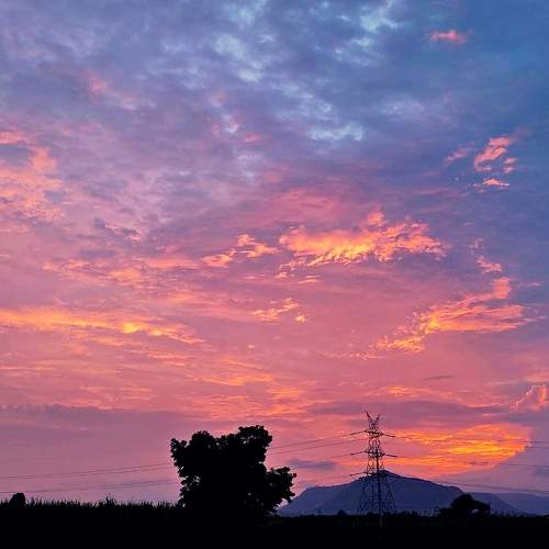 Photo #11080431
