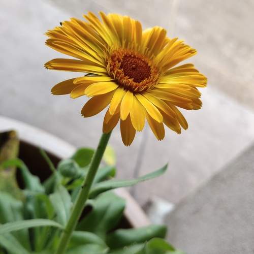 Photo #11080527