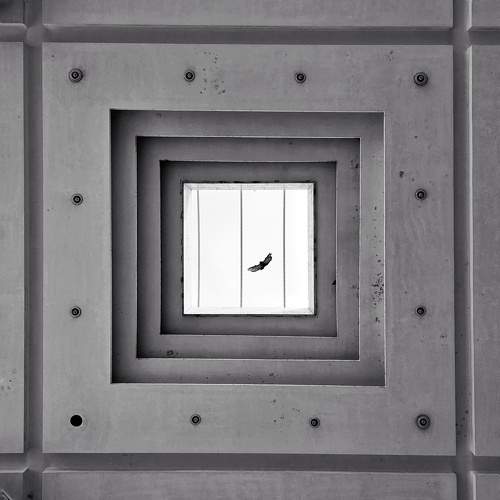 Photo #11080620