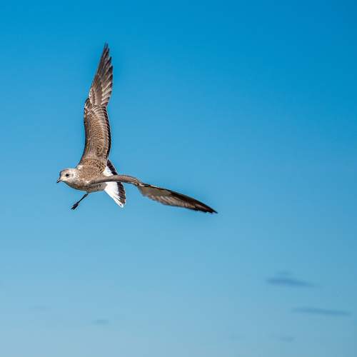Photo #11080786
