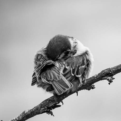 Фотография #11081016