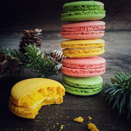 Photo #11081364