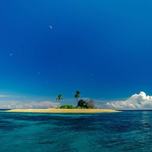 Photo #11081437