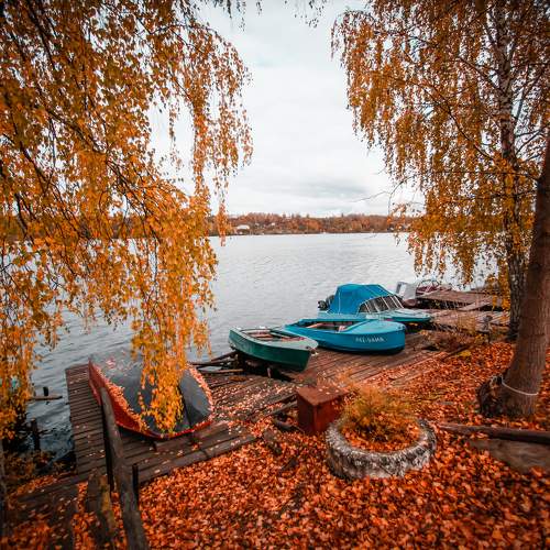 Photo #11081491