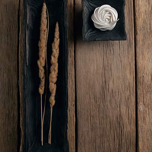 Photo #11081862