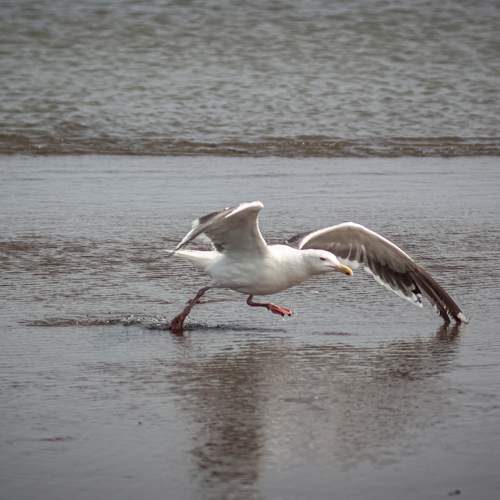 Photo #11082079