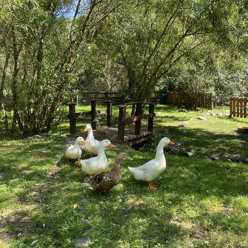 Photo #11082319