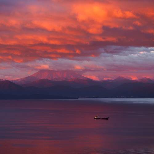 Photo #11082622