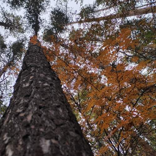 Photo #11082656