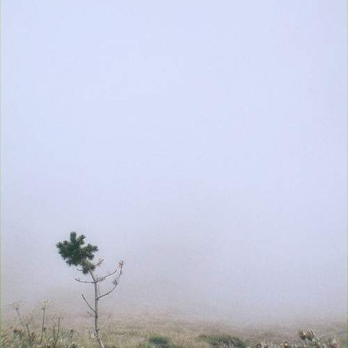 Photo #11083064