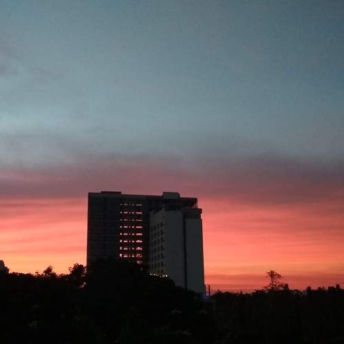 Photo #11083191
