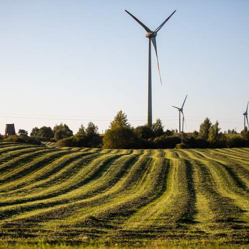 Photo #11083261