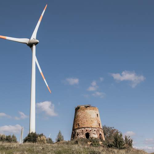 Photo #11083343
