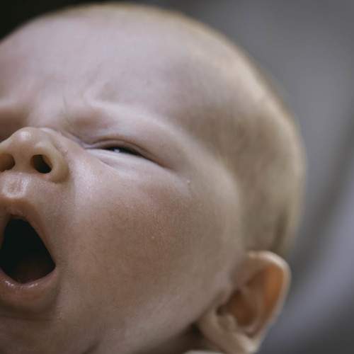 Photo #11083400