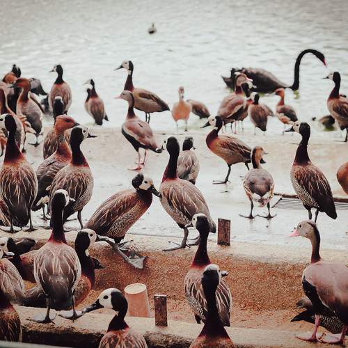 Photo #11083808