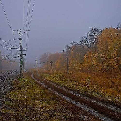 Photo #11083862