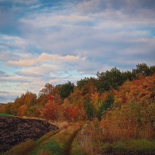 Photo #11083865