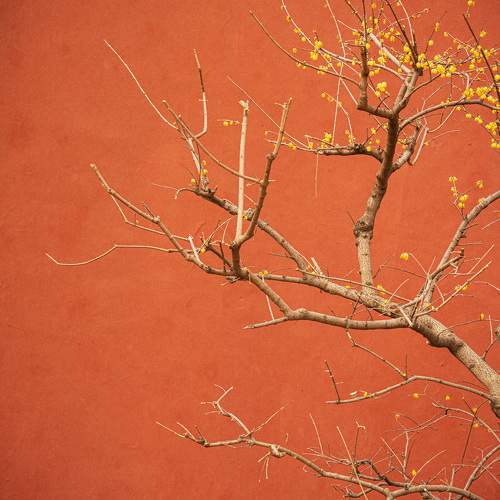 Photo #11084351