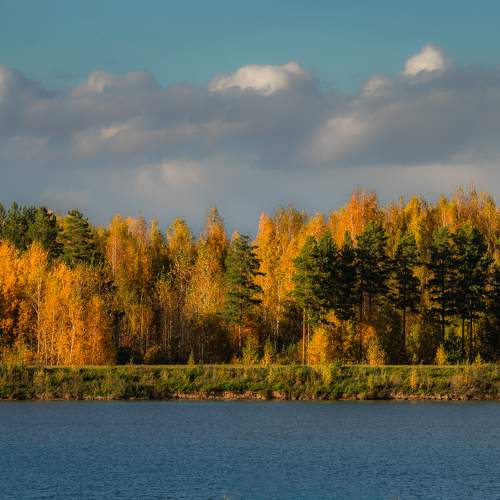 Photo #11084516