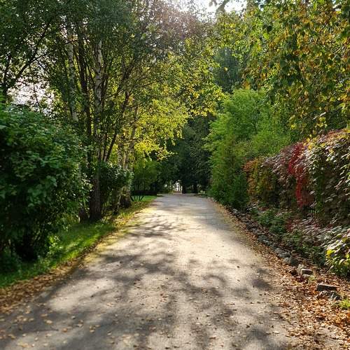 Photo #11084637