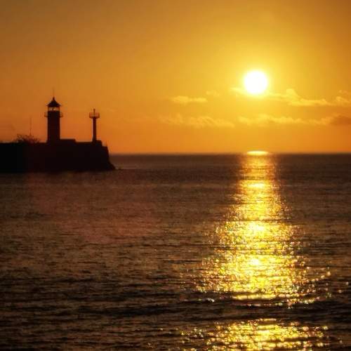 Photo #11084877
