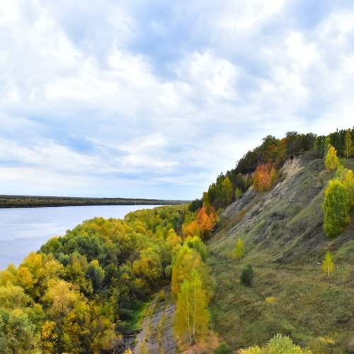 Photo #11085646