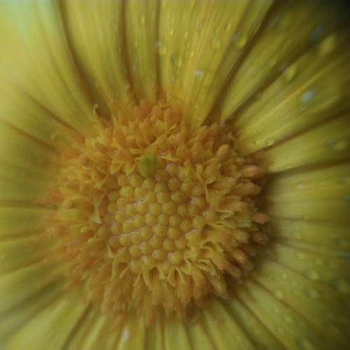 Photo #11085649