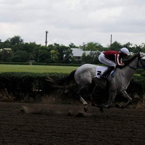 Photo #11085740