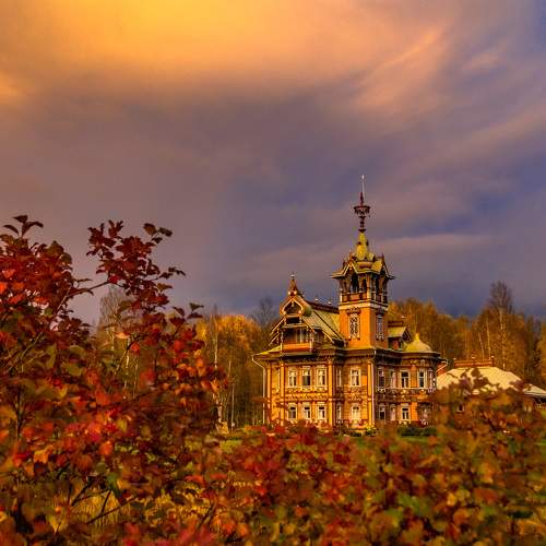 Photo #11086330