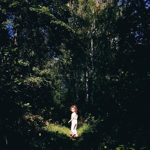 Photo #11086427