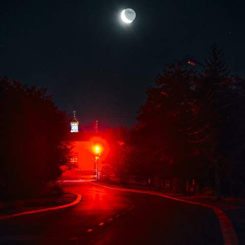 Photo #11086615
