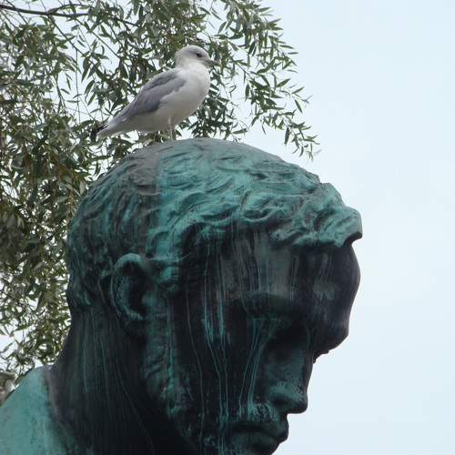 Photo #11088189