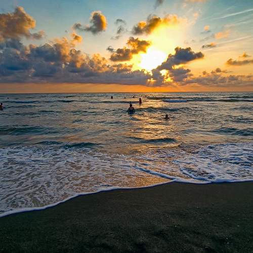 Photo #11088222